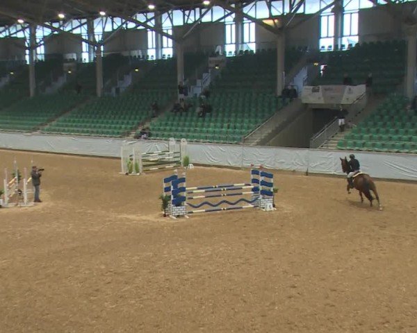 Reitturnier Kreuth/Opf. 2024