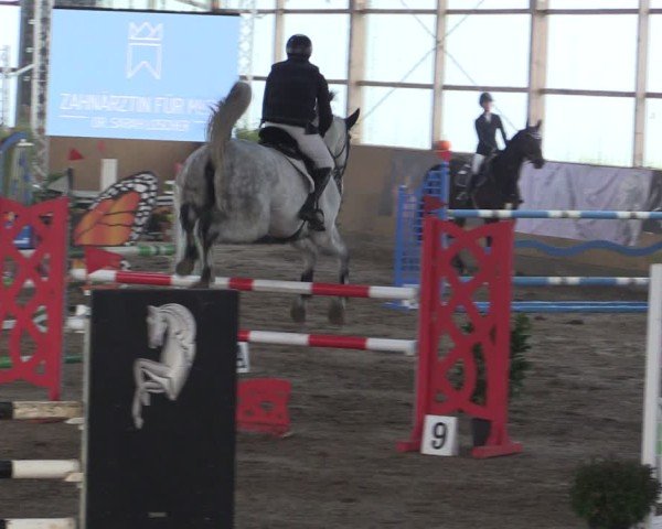 Reitturnier Pausin 2024