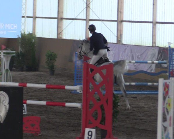 Reitturnier Pausin 2024