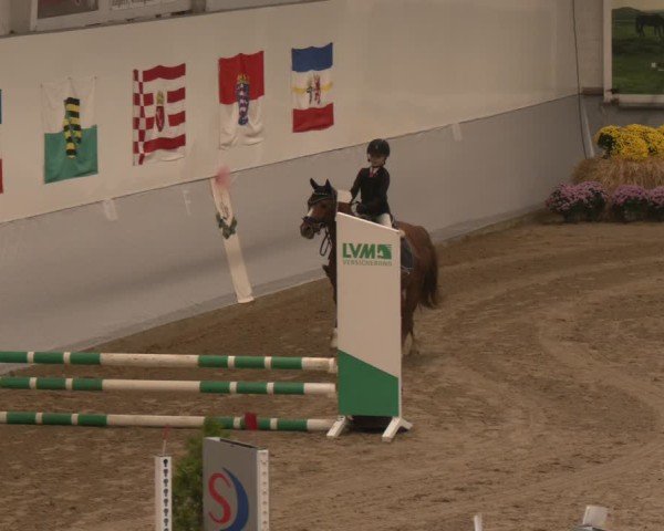 Reitturnier Legden | Ponyturnier 2024