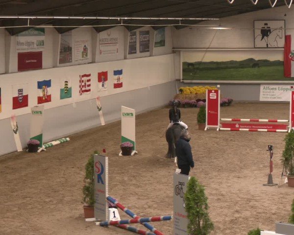 Reitturnier Legden | Ponyturnier 2024