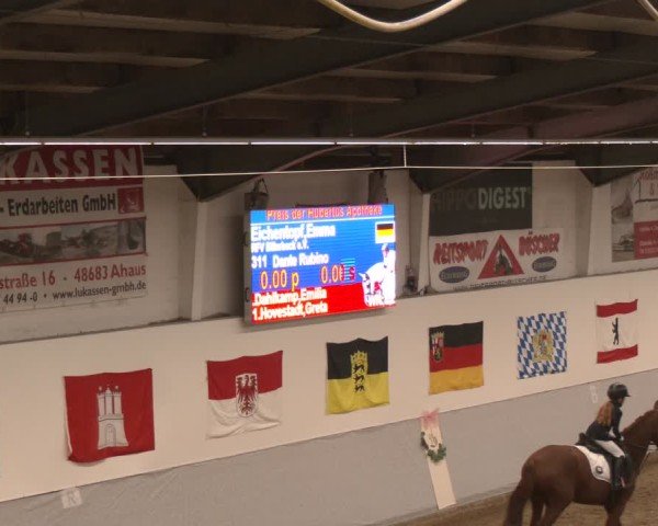 Reitturnier Legden | Ponyturnier 2024