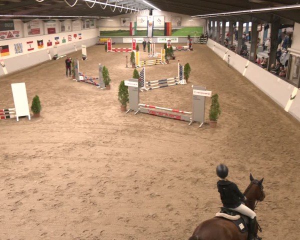 Reitturnier Legden | Ponyturnier 2024
