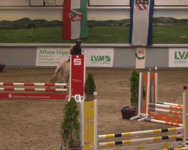 Reitturnier Legden | Ponyturnier 2024