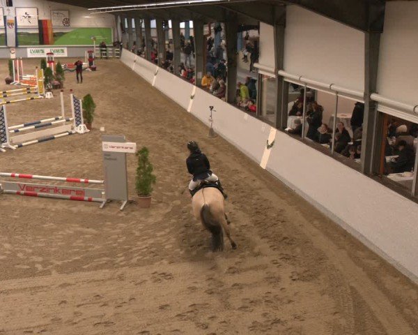 Reitturnier Legden | Ponyturnier 2024