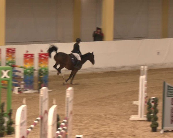 Reitturnier Stadl-Paura 2024