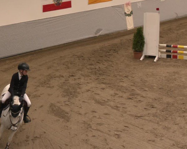 Reitturnier Legden | Ponyturnier 2024