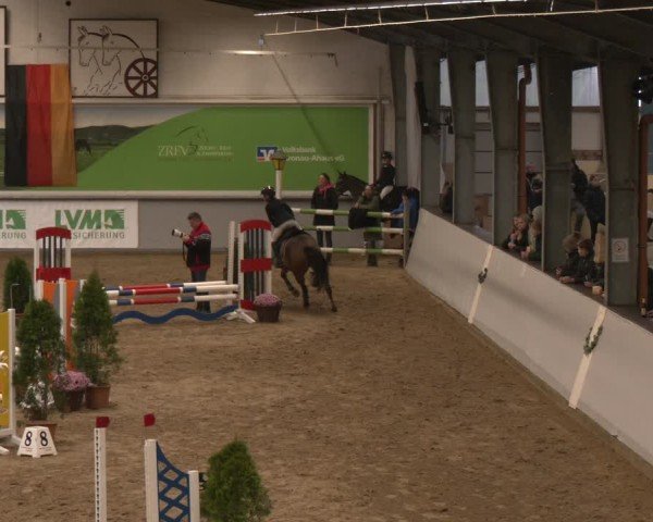 Reitturnier Legden | Ponyturnier 2024