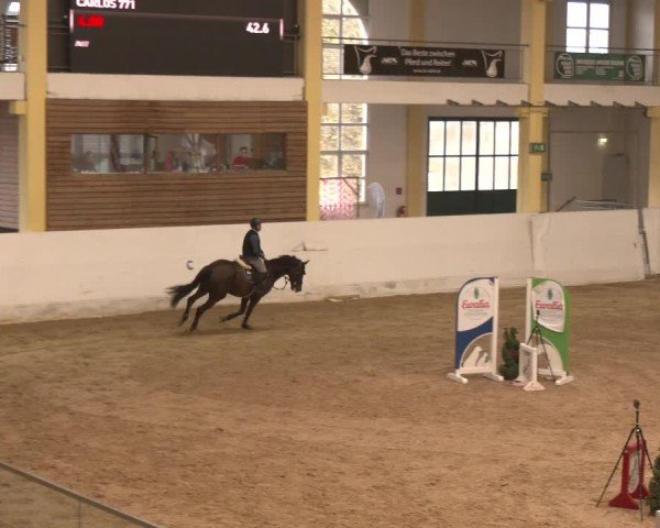 Reitturnier Stadl-Paura 2024
