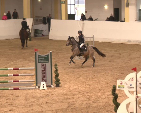 Reitturnier Stadl-Paura 2024