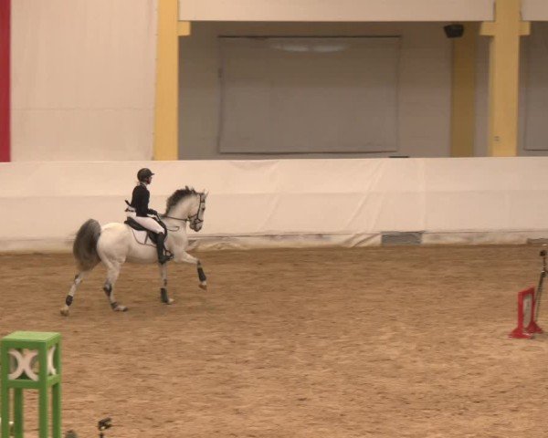 Reitturnier Stadl-Paura 2024
