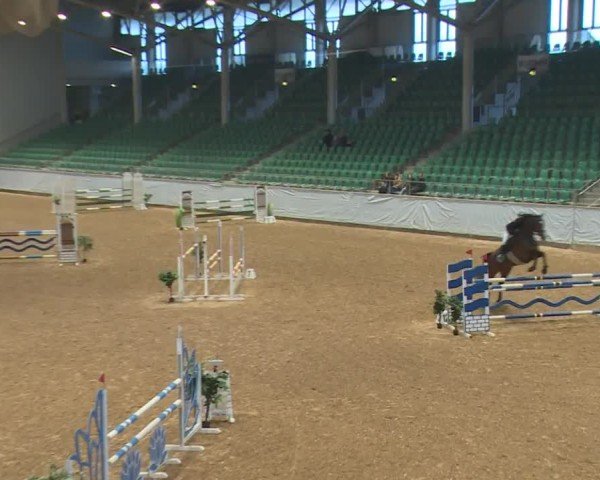 Reitturnier Kreuth/Opf. 2024