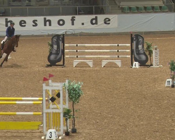 Reitturnier Kreuth/Opf. 2024