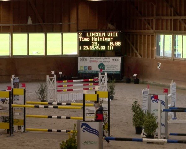 Reitturnier Rüti 2024