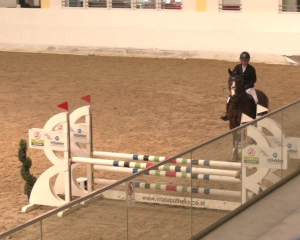 Reitturnier Stadl-Paura 2024