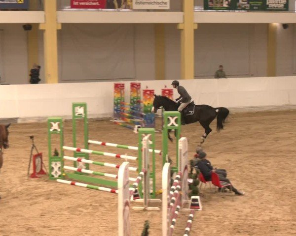 Reitturnier Stadl-Paura 2024