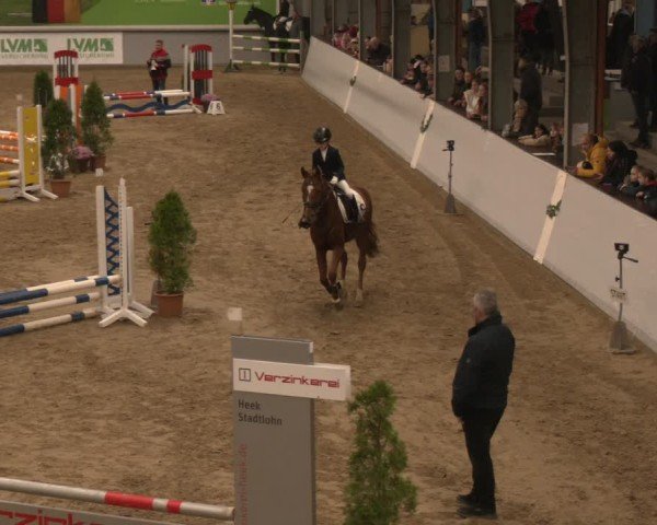 Reitturnier Legden | Ponyturnier 2024