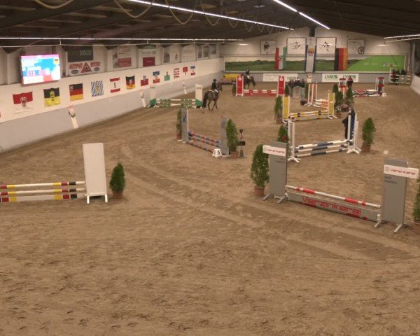 Reitturnier Legden | Ponyturnier 2024