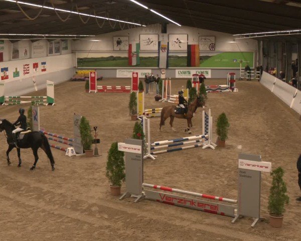 Reitturnier Legden | Ponyturnier 2024