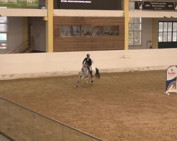 Reitturnier Stadl-Paura 2024