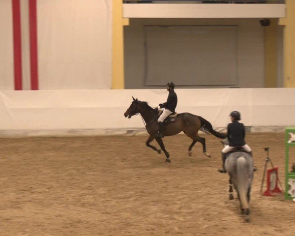 Reitturnier Stadl-Paura 2024