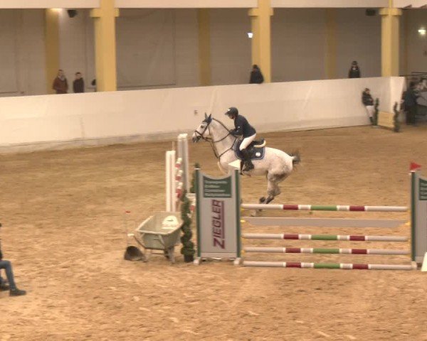 Reitturnier Stadl-Paura 2024