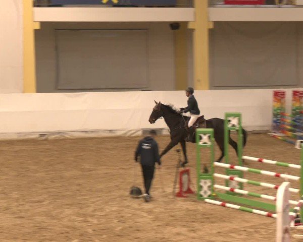 Reitturnier Stadl-Paura 2024