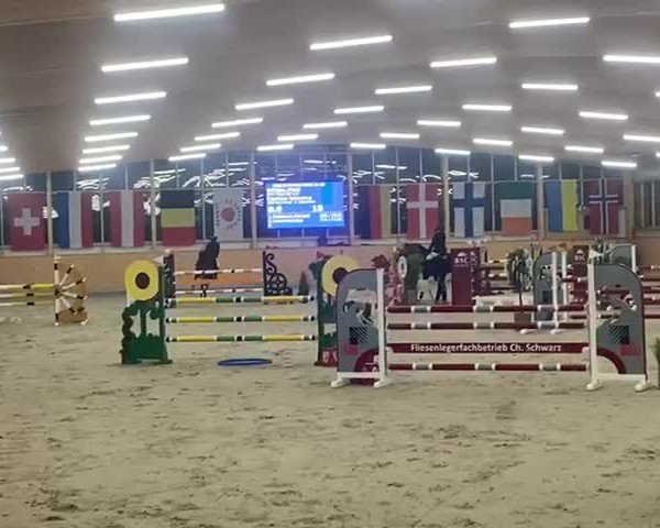 Video of Comtess Valentina