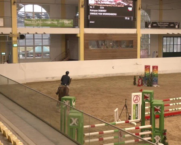 Reitturnier Stadl-Paura 2024