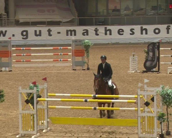 Reitturnier Kreuth/Opf. 2024