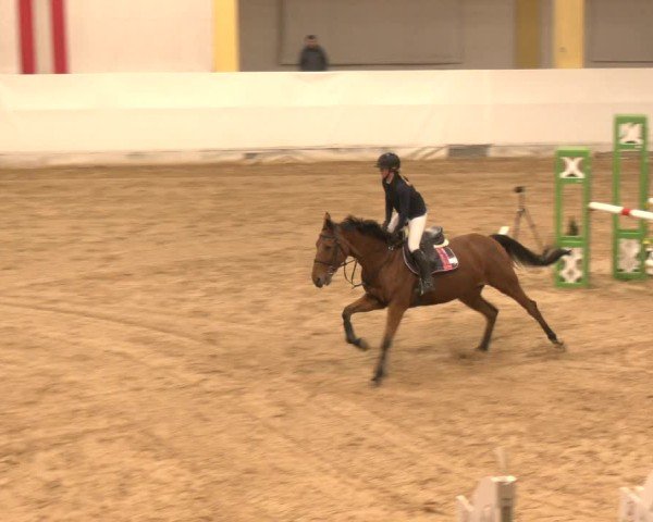 Reitturnier Stadl-Paura 2024
