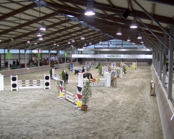 Reitturnier Gahlen 2024