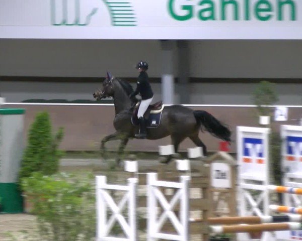 Reitturnier Gahlen 2024