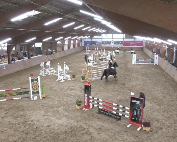 Reitturnier Bad Salzuflen 2024