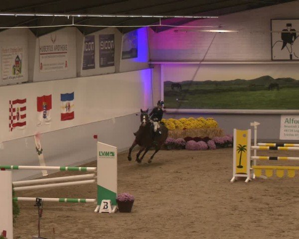 Reitturnier Legden | Ponyturnier 2024
