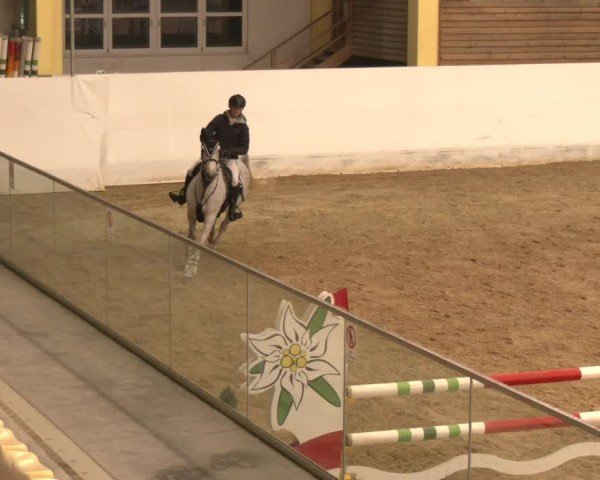 Reitturnier Stadl-Paura 2024