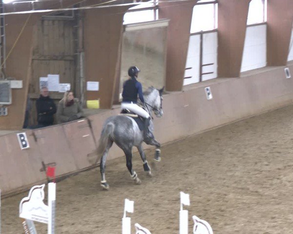 Reitturnier Bad Salzuflen 2024