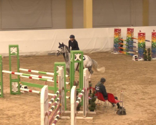 Reitturnier Stadl-Paura 2024