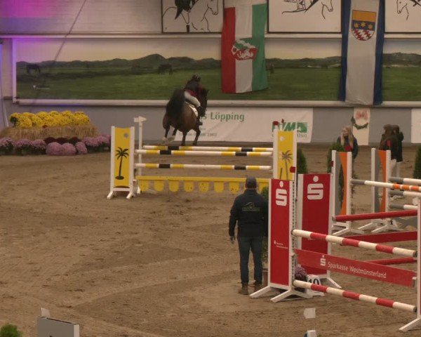 Reitturnier Legden | Ponyturnier 2024
