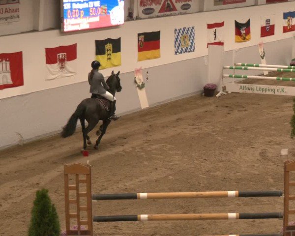 Reitturnier Legden | Ponyturnier 2024