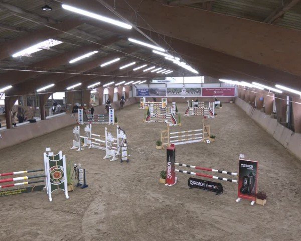 Reitturnier Bad Salzuflen 2024