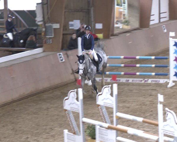 Reitturnier Bad Salzuflen 2024