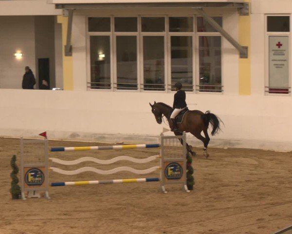 Reitturnier Stadl-Paura 2024