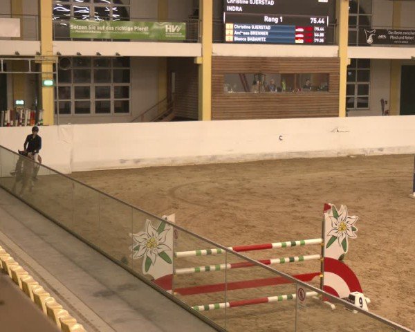 Reitturnier Stadl-Paura 2024