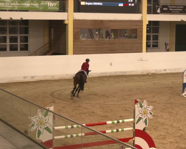 Reitturnier Stadl-Paura 2024