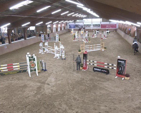 Reitturnier Bad Salzuflen 2024