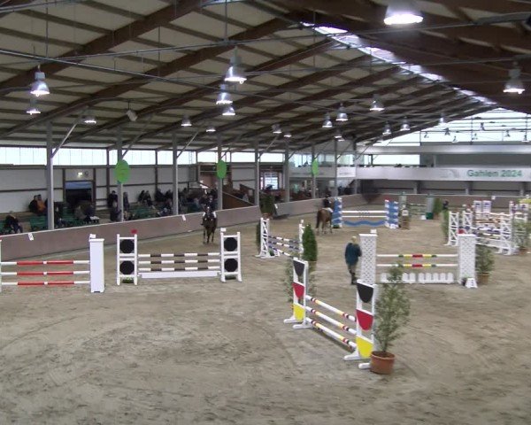 Reitturnier Gahlen 2024