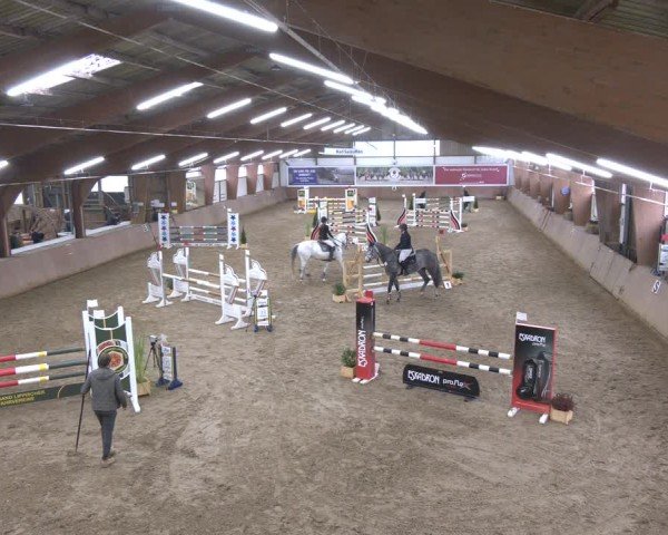 Reitturnier Bad Salzuflen 2024