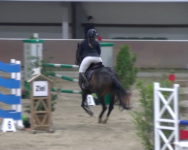 Reitturnier Gahlen 2024
