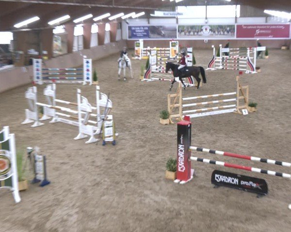 Reitturnier Bad Salzuflen 2024